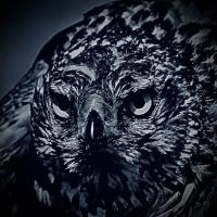 Profile picture for user zealialize