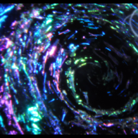 Profile picture for user ivavictoria