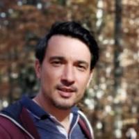 Profile picture for user mihaighinea